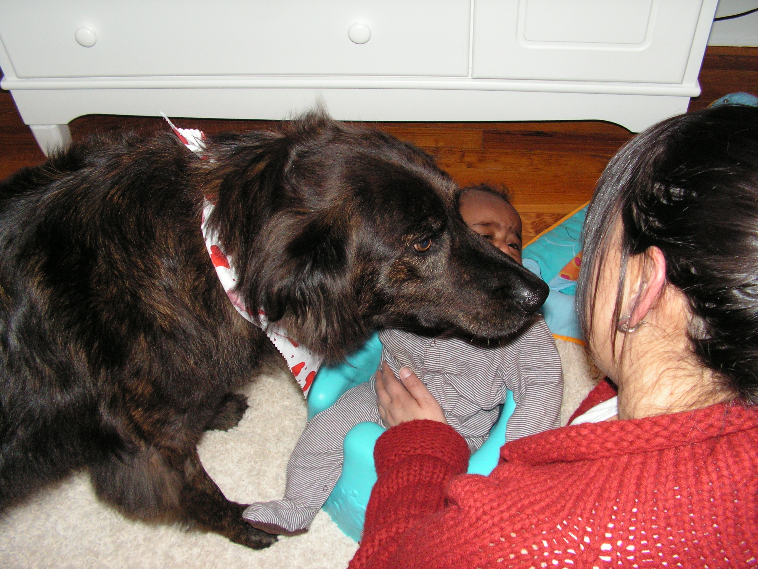 abram-lola-going-in-first-meeting