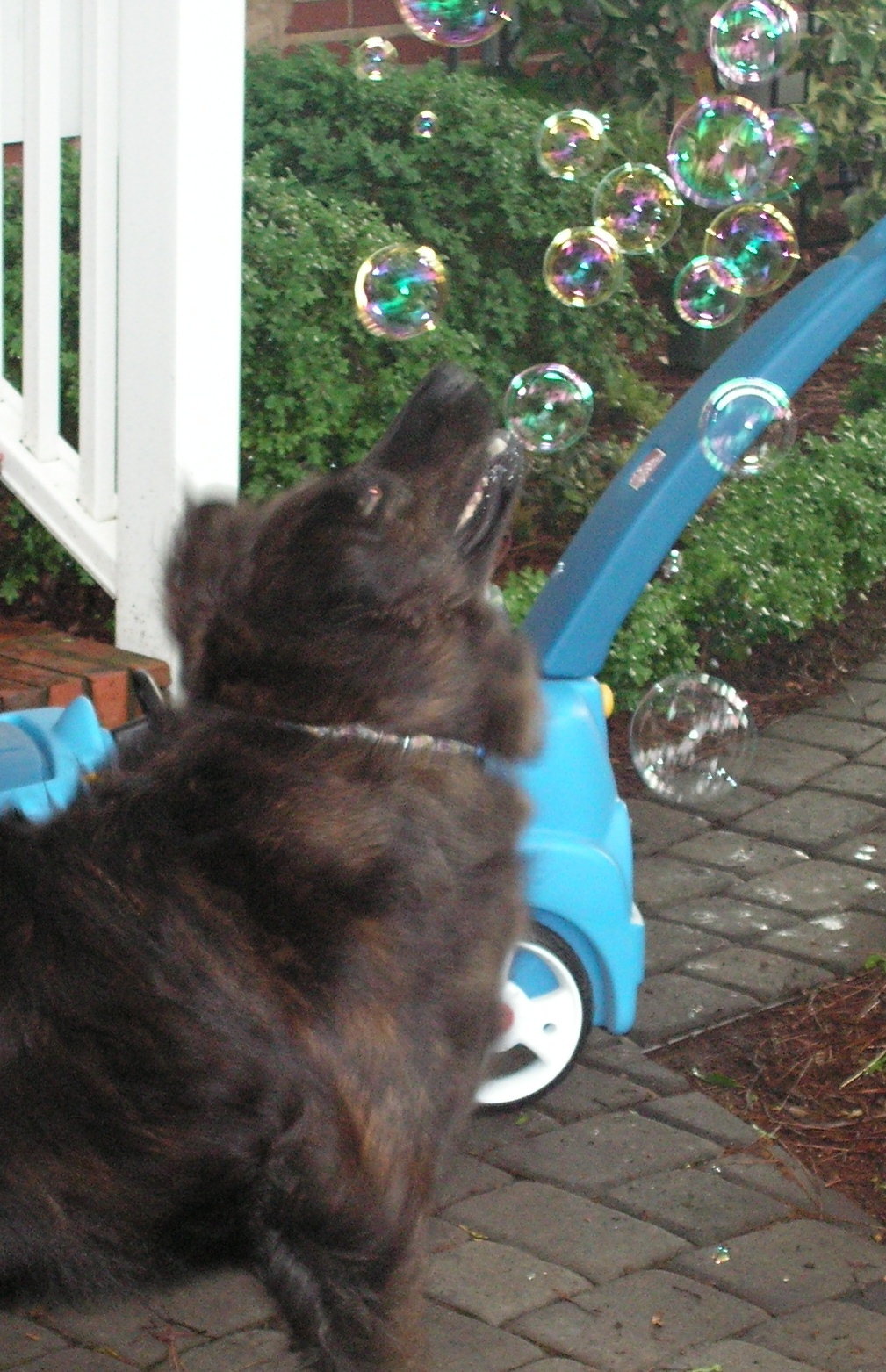 Lola washing her own mouth out with soap bubbles 