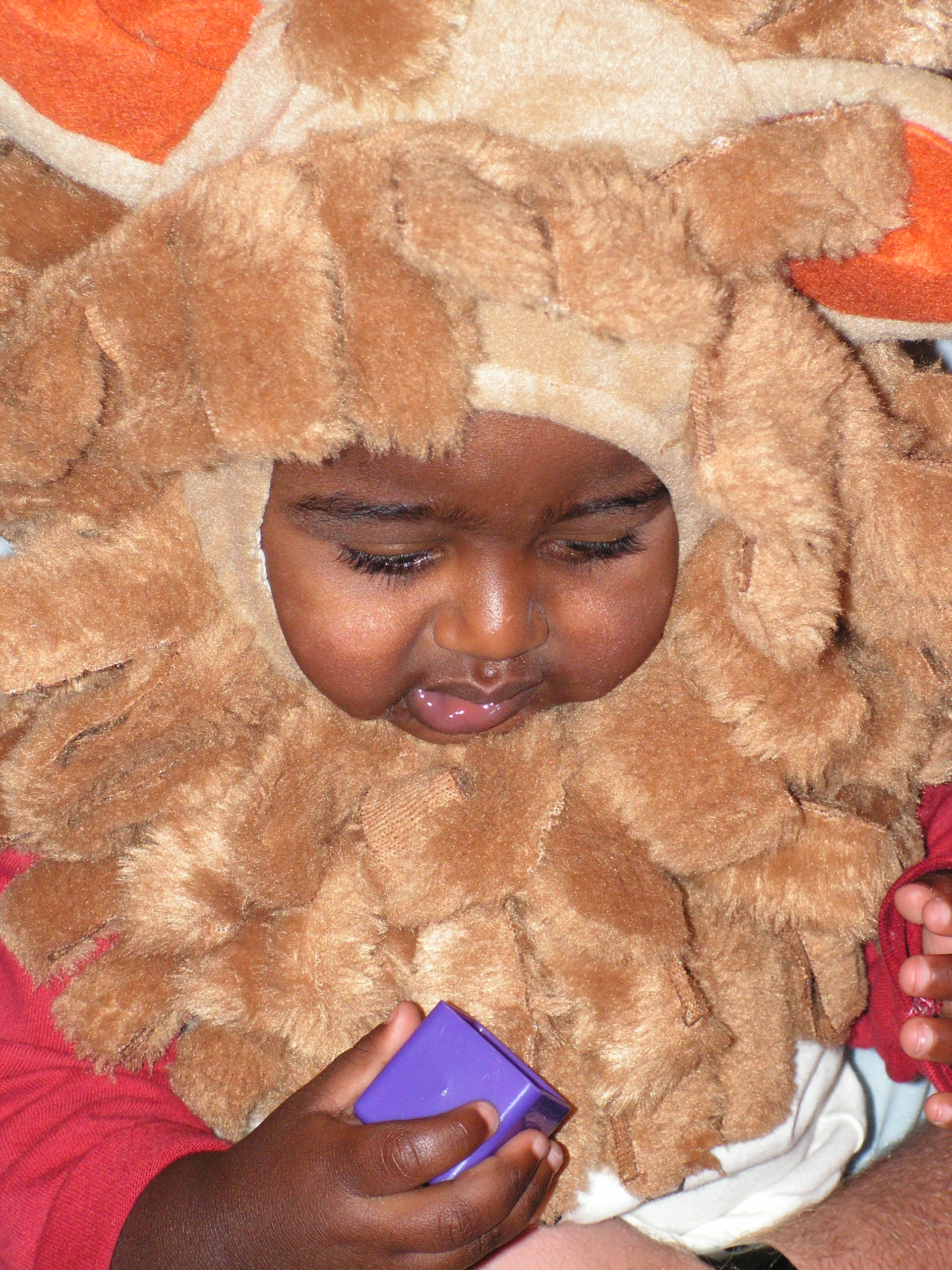 The battle of the costumes... the lion cub 