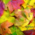 The Weekly Spark: Embrace Fall