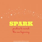Announcing Spark: practices to nourish this new beginning