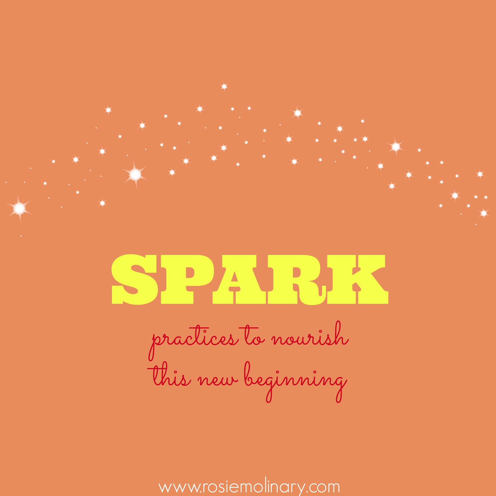 SPARK Day 24: Explore Your SPARK Experience