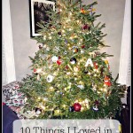 10 Things I Loved in December 2014 